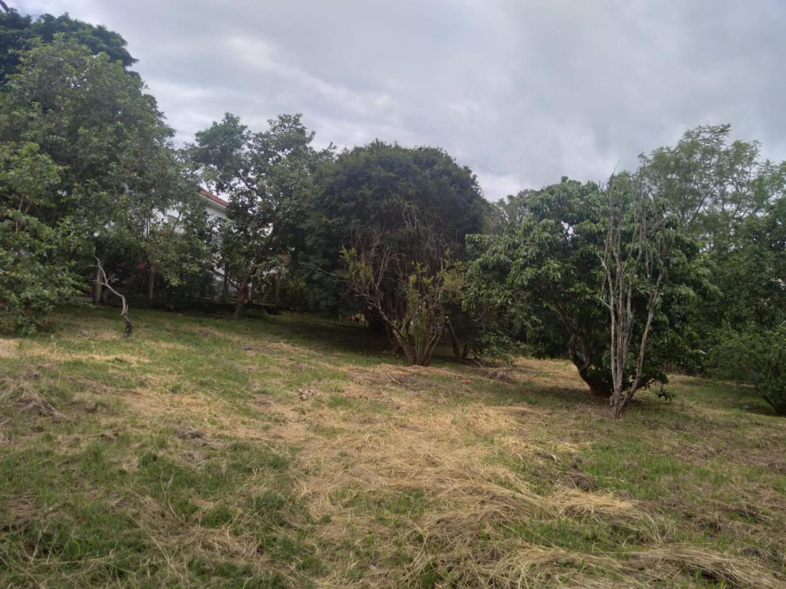 Villa Casa Delicia Em Passa Quatro Ate 6 Pessoas Extérieur photo