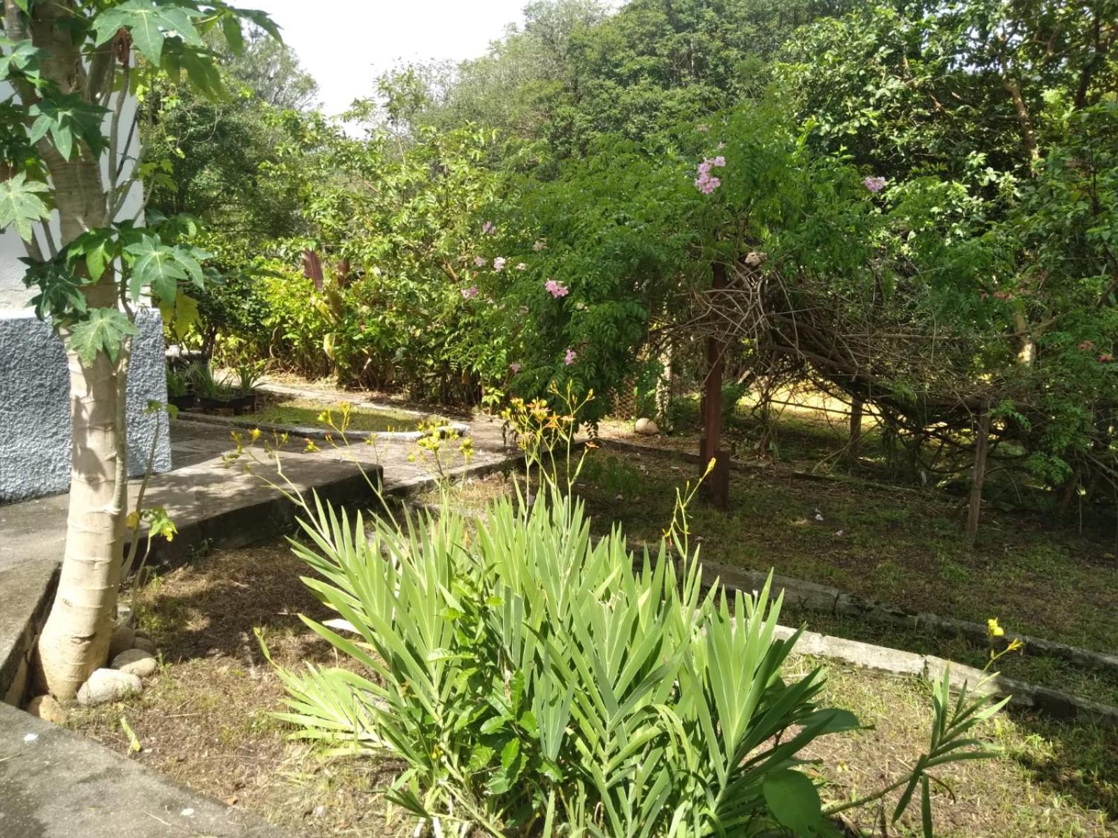 Villa Casa Delicia Em Passa Quatro Ate 6 Pessoas Extérieur photo