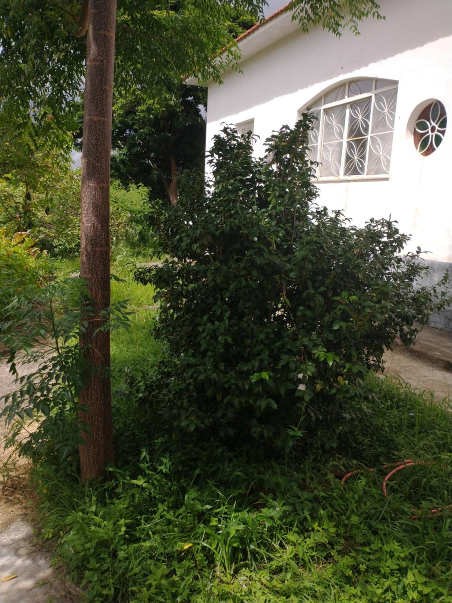 Villa Casa Delicia Em Passa Quatro Ate 6 Pessoas Extérieur photo